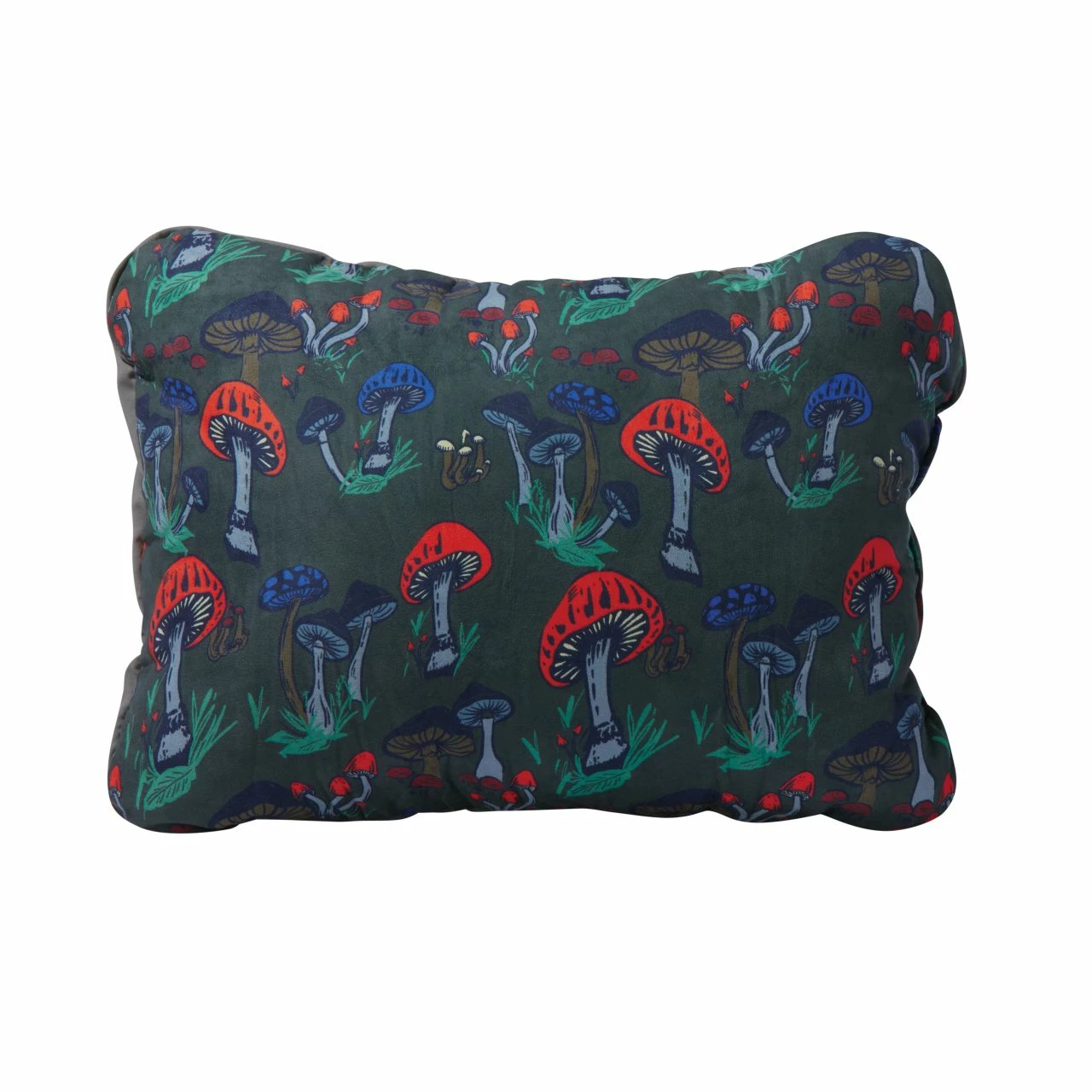 Therm-a-Rest Compressible Pillow Cinch 2 Therm-a-Rest Compressible Pillow Cinch - Image 2