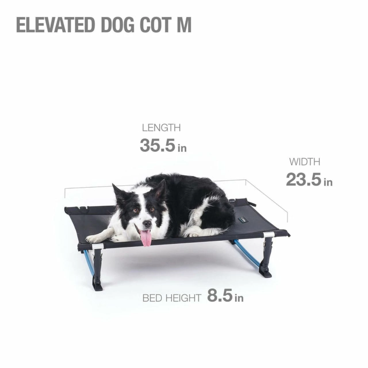 Helinox Elevated Dog Cot - Medium (Fall 2022) 4 Helinox Elevated Dog Cot - Medium (Fall 2022) - Image 4