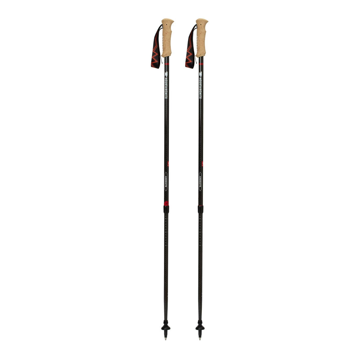 Mountainsmith Andesite Trekking Poles 1 Mountainsmith Andesite Trekking Poles