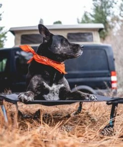 Helinox Elevated Dog Cot - Medium (Fall 2022) 10 Helinox Elevated Dog Cot - Medium (Fall 2022) -Tents Sales Store helinox vanlife dog cot 600x 800x 9a70c463 4f67 4a19 b51f 4d3433991b27 800x800 rsz 32155.1646680882